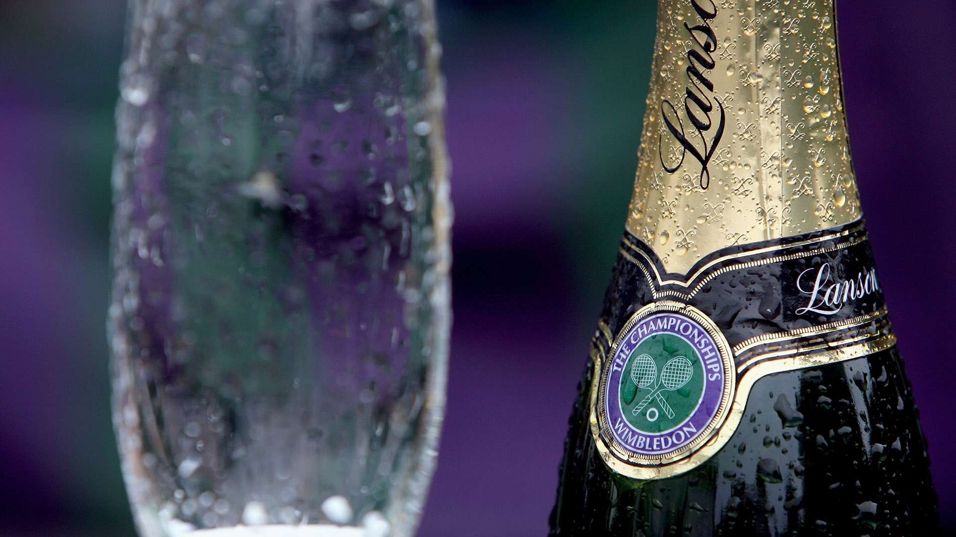 岁依旧绽放 岁依旧绽放