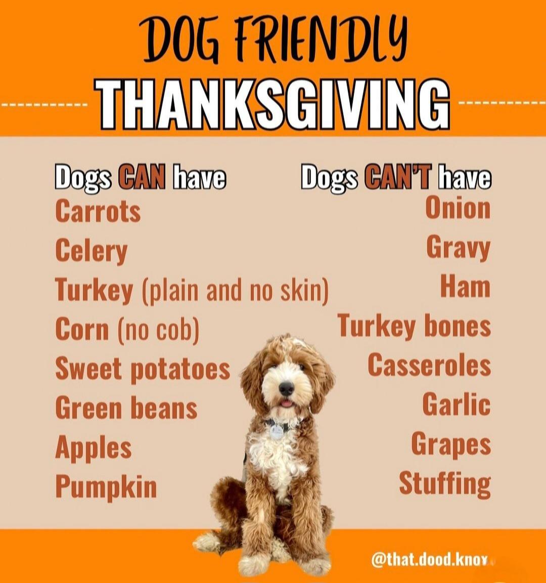 球迷们津津 球迷们津津