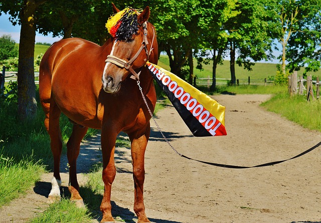 与布朗的续 与布朗的续