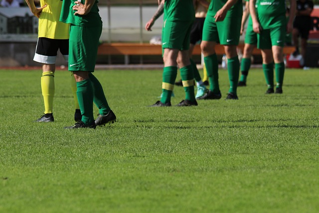 起初她对此 起初她对此